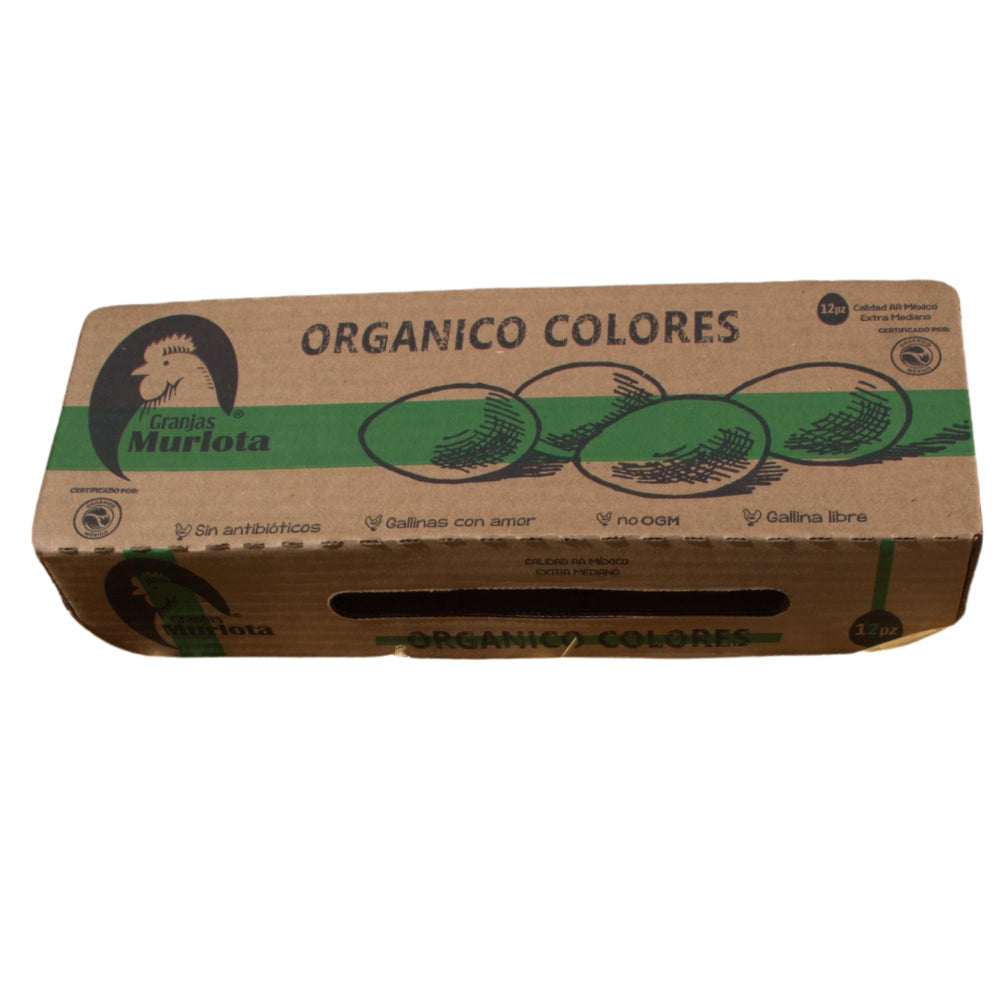 Organic Eggs 12 pieces (colors)