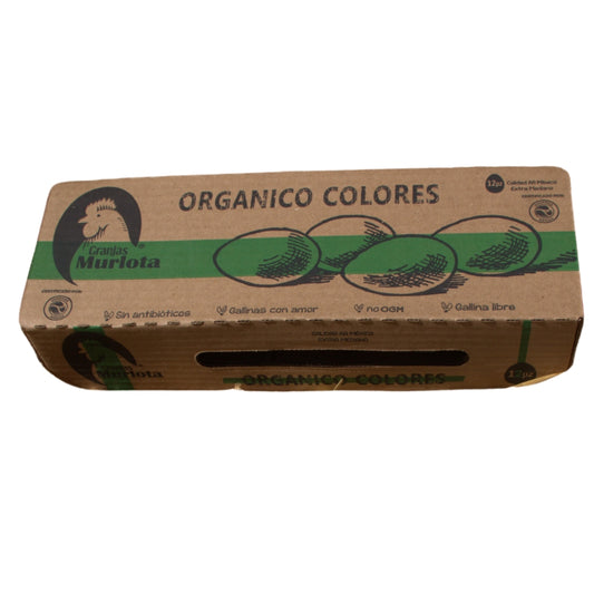 Organic Eggs 12 pieces (colors)