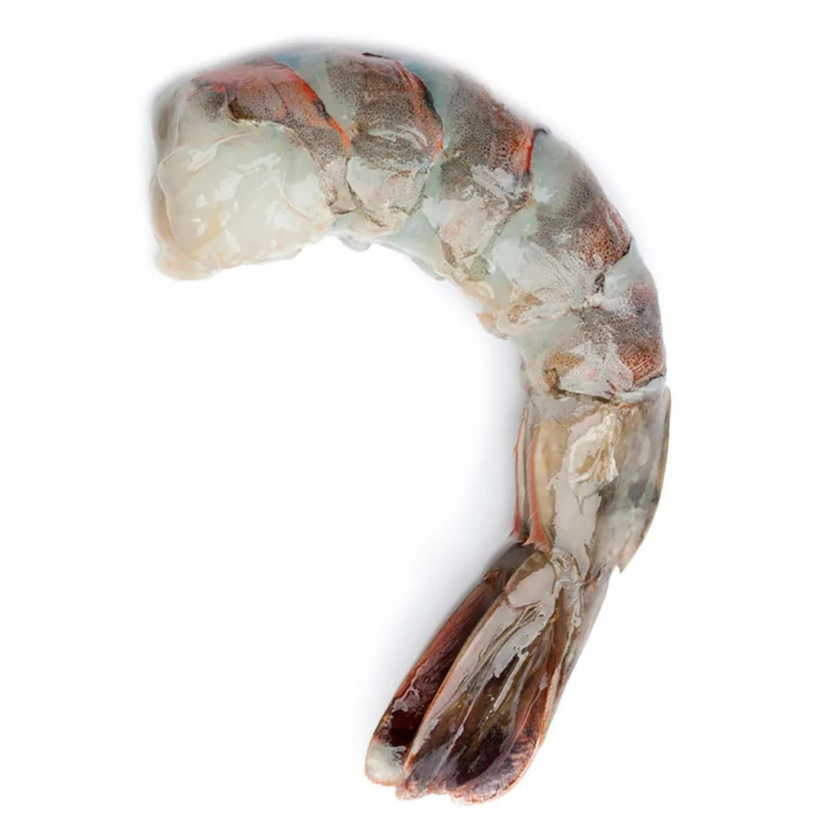 Fresh Shrimp Jumbo without head (500 mg)