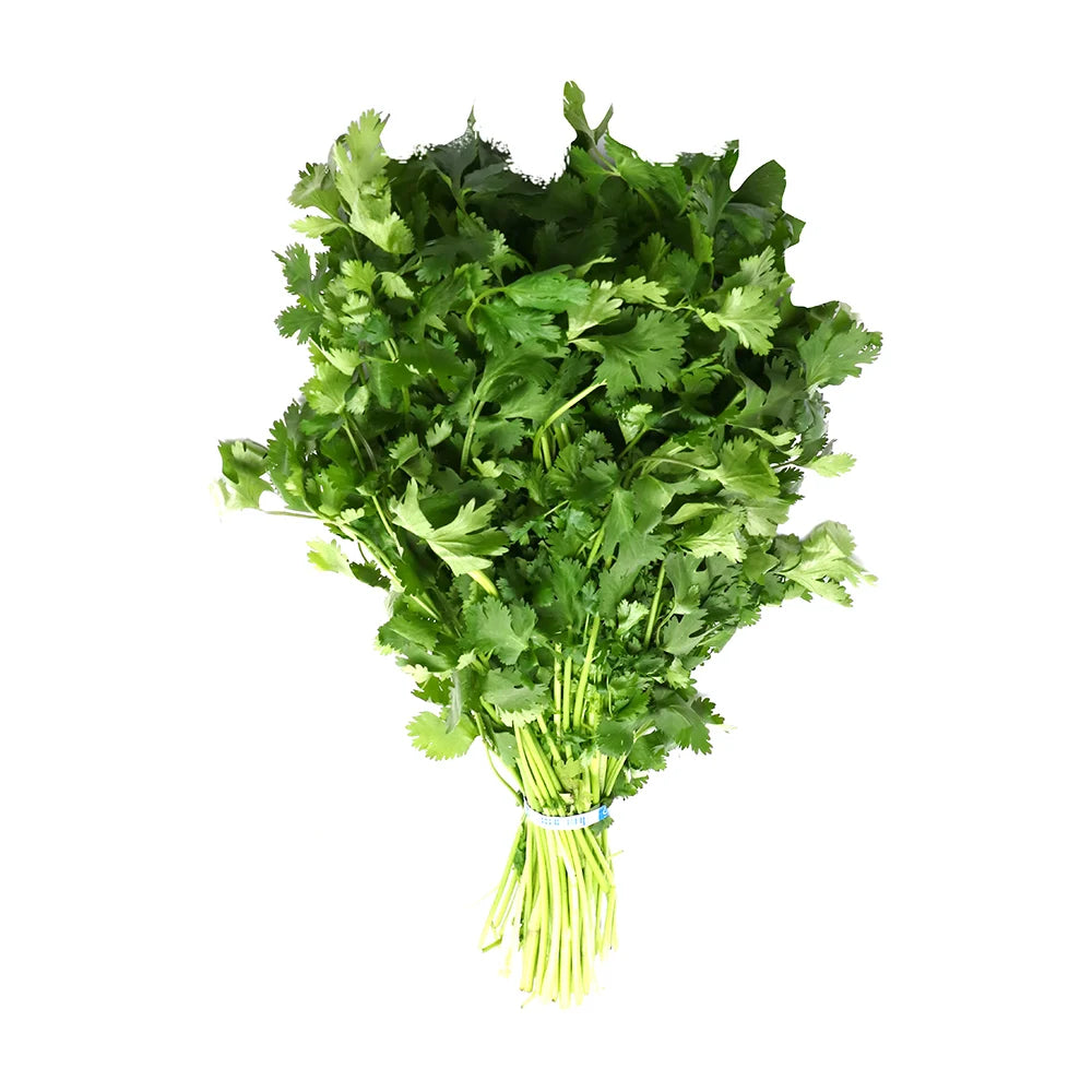 Cilantro (Bunch)