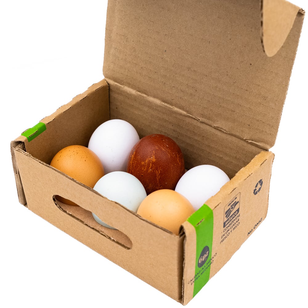 Organic Color Eggs 6 pieces
