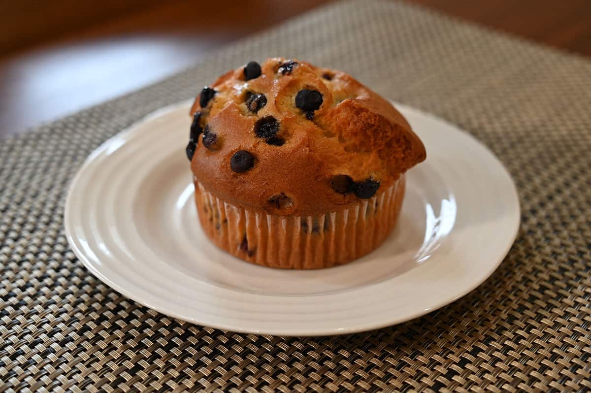 Blueberry/Chocolate Muffins (12 count)